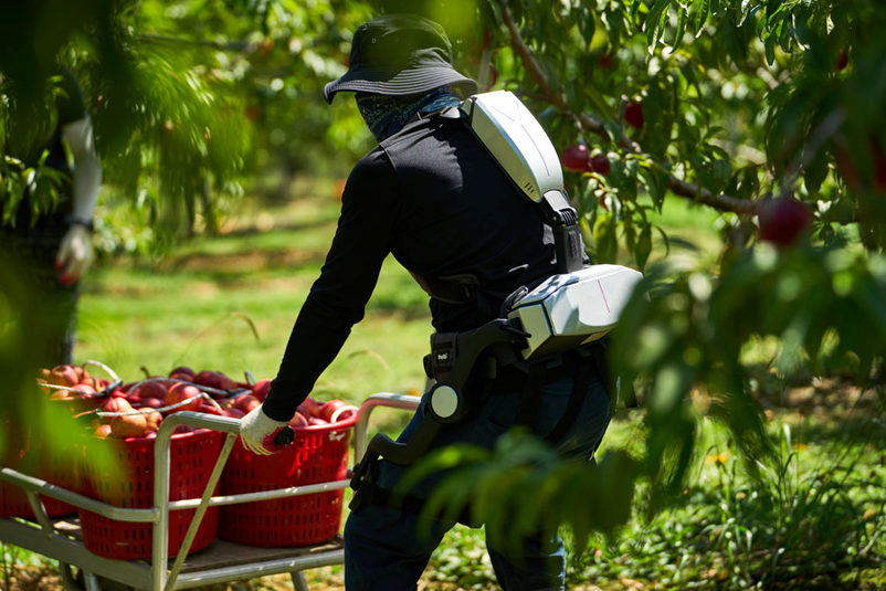 전시회참관기사진